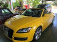 Audi TT    2007 - Cần bán xe Audi TT 2007, màu vàng, nhập khẩu nguyên chiếc