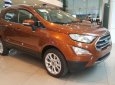 Ford EcoSport Titanium 1.5L 2019 - Bán Ford EcoSport siêu ưu đãi tặng BHVC, phim, camera, tiền mặt