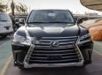 Lexus LX 570 2019 - Bán xe Lexus LX 570 sản xuất 2019, màu đen, nhập khẩu nguyên chiếc