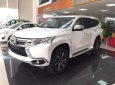 Mitsubishi Pajero  4x2 AT  2019 - Bán ô tô Mitsubishi Pajero 4x2 AT sản xuất năm 2019, màu trắng, xe nhập