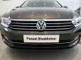 Volkswagen Passat   Bluemotion 2018 - Bán Passat Bluemotion 4 chỗ nhập Đức, giao ngay