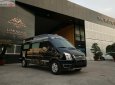 Ford Transit Limousine 2019 - Bán ô tô Ford Transit Limousine đời 2019, màu đen