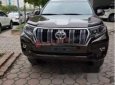 Toyota Prado     VX 2.7L   2019 - Bán Toyota Prado 2.7VX hoàn toàn mới, xe giao ngay