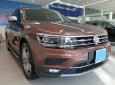 Volkswagen Tiguan Allspace 2018 - Volkswagen Tiguan nâu và xanh rêu - Phiên bản giới hạn