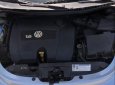 Volkswagen Beetle   2009 - Bán Volkswagen Beetle năm 2009, xe nhập, xe gia đình