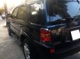 Ford Escape  XLT  2002 - Cần bán gấp Ford Escape 2002, 155tr