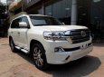 Toyota Land Cruiser VX 4.6 V8 2019 - Bán Toyota Land Cruiser VX 4.6 V8 năm 2019, màu trắng, nhập khẩu