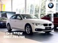 BMW 3 Series  320i   2019 - Bán BMW 3 Series 320i năm 2019, màu trắng, nhập khẩu nguyên chiếc