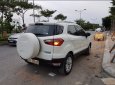 Ford EcoSport   Titanium  2016 - Bán xe Ford EcoSport Titanium 2016, màu trắng, nhập khẩu