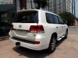 Toyota Land Cruiser VX 4.6 V8 2019 - Bán Toyota Land Cruiser VX 4.6 V8 năm 2019, màu trắng, nhập khẩu