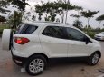 Ford EcoSport   Titanium  2016 - Bán xe Ford EcoSport Titanium 2016, màu trắng, nhập khẩu