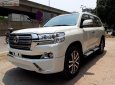 Toyota Land Cruiser VX 4.6 V8 2019 - Bán Toyota Land Cruiser VX 4.6 V8 năm 2019, màu trắng, nhập khẩu