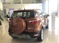 Ford EcoSport Titanium 1.5L AT 2019 - Bán ô tô Ford EcoSport Titanium 1.5L AT sản xuất năm 2019, màu nâu, 650tr