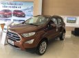 Ford EcoSport Titanium 1.5L AT 2019 - Bán ô tô Ford EcoSport Titanium 1.5L AT sản xuất năm 2019, màu nâu, 650tr