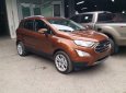 Ford EcoSport Titanium AT 2019 - Ford Thủ Đô báo giá xe Ford Ecosport 2019 mới nhất. Khuyến mại lên đến 60Tr, đủ màu, trả góp toàn quốc