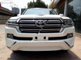 Toyota Land Cruiser VX 4.6 V8 2019 - Bán Toyota Land Cruiser VX 4.6 V8 năm 2019, màu trắng, nhập khẩu