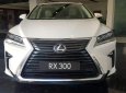 Lexus RX 300 2019 - Bán xe Lexus RX 300 đời 2019, màu trắng, xe nhập