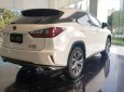 Lexus RX 300 2019 - Bán xe Lexus RX 300 đời 2019, màu trắng, xe nhập