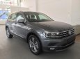 Volkswagen Tiguan Allspace 2018 - Bán xe Volkswagen Tiguan Allspace đời 2018, màu xám, nhập khẩu