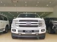 Ford F 150 Platinum 2018 - Bán Ford F150 Platinum 2018 mới 100%, giao ngay