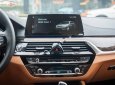 BMW 5 Series 530i 2019 - Bán BMW 530i đời 2019, màu đen, nhập khẩu