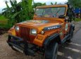 Jeep Wrangler 2008 - Cần bán lại xe Jeep Wrangler năm sản xuất 2008, nhập khẩu nguyên chiếc, giá chỉ 138 triệu