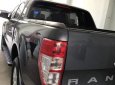 Ford Ranger 2017 - Bán xe Ford Ranger sản xuất năm 2017, màu xám, nhập khẩu, giá chỉ 560 triệu