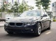 BMW 3 Series 320i 2018 - Cần bán xe BMW 3 Series 320i năm sản xuất 2018, màu đen, nhập khẩu