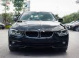 BMW 3 Series 320i 2018 - Cần bán xe BMW 3 Series 320i năm sản xuất 2018, màu đen, nhập khẩu