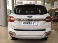 Ford Everest 2.0 Bi-Turbo Titanium 2019 - Lào Cai bán Ford Everest Titan 2019, giá tốt nhất thị trường, trả góp cao tặng full phụ kiện 