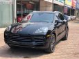 Porsche Cayenne 3.0 V6 2019 - Bán ô tô Porsche Cayenne 3.0 V6 đời 2019, màu đen, xe nhập