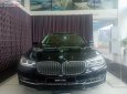 BMW 7 Series 730Li 2018 - Bán ô tô BMW 7 Series 730Li năm 2018, màu đen, nhập khẩu