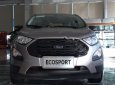 Ford EcoSport Ambiente 1.5L MT 2019 - Cần bán Ford EcoSport Ambiente 1.5L MT 2019, màu bạc, 525 triệu