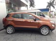 Ford EcoSport Titanium 1.5L AT 2019 - Bán ô tô Ford EcoSport Titanium 1.5L AT sản xuất 2019