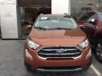 Ford EcoSport Titanium 1.5L AT 2019 - Bán ô tô Ford EcoSport Titanium 1.5L AT sản xuất 2019