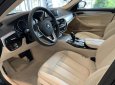 BMW 5 Series 520i 2018 - Cần bán xe BMW 5 Series 520i đời 2018, nhập khẩu