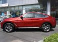 BMW X4 2019 - Bán ô tô BMW X4 sản xuất 2019, màu đỏ, nhập khẩu nguyên chiếc