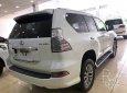 Lexus GX GX460 2017 - Bán Lexus GX460 màu trắng, sản xuất và đăng ký 2017. LH: 0906223838