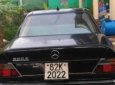 Mercedes-Benz E class  300 1996 - Bán ô tô Mercedes E300 1996, màu đen, xe nhập chính chủ