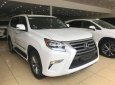 Lexus GX 460 2017 - Bán Lexus GX460 màu trắng, sản xuất năm 2017 đăng ký cá nhân