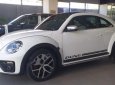 Volkswagen New Beetle Dune 2018 - Bán ô tô Volkswagen New Beetle Dune sản xuất năm 2018, màu trắng, xe nhập