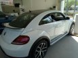 Volkswagen New Beetle Dune 2018 - Bán ô tô Volkswagen New Beetle Dune sản xuất năm 2018, màu trắng, xe nhập