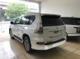 Lexus GX 460 2017 - Bán Lexus GX460 màu trắng, sản xuất năm 2017 đăng ký cá nhân