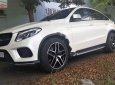 Mercedes-Benz GLE-Class  GLE43 2018 - Cần bán Mercedes GLE43 2018, màu trắng, nhập khẩu nguyên chiếc