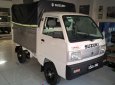 Suzuki Carry 2019 - Bán ô tô Suzuki Carry 2018 năm 2019, thùng kèo mui bạt