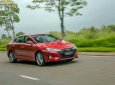 Hyundai Elantra Sport 2019 - Bán ô tô Hyundai Elantra sport sản xuất 2019, màu đỏ