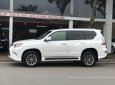 Lexus GX460 2016 - Bán xe Lexus GX460 đời 2016, nhập khẩu chính hãng