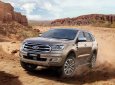 Ford Everest  Biturbo 2019 - Ford Everest 2.0 Biturbo 2019, nhập khẩu, giá tốt nhất thị trường, xe giao ngay 