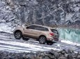 Ford Everest  Biturbo 2019 - Ford Everest 2.0 Biturbo 2019, nhập khẩu, giá tốt nhất thị trường, xe giao ngay 