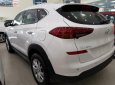 Hyundai Tucson 2.0AT 2019 - Bán xe Hyundai Tucson mới 2019 với thiết kế đầu xe mới